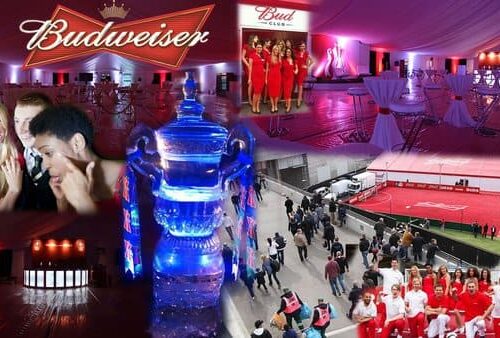 Ice replica of the FA Cup